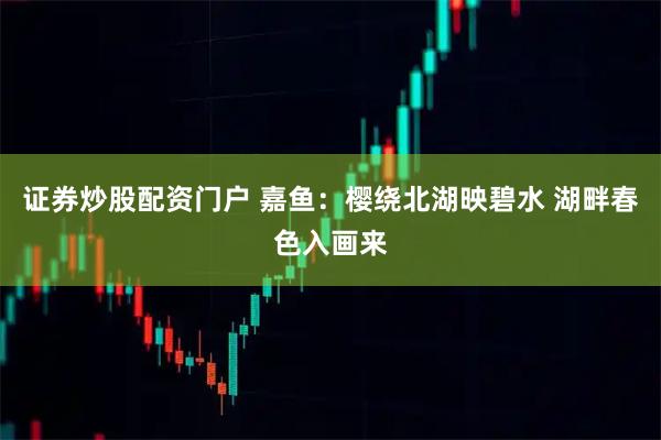 证券炒股配资门户 嘉鱼：樱绕北湖映碧水 湖畔春色入画来