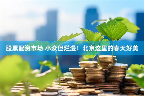 股票配资市场 小众但烂漫！北京这里的春天好美