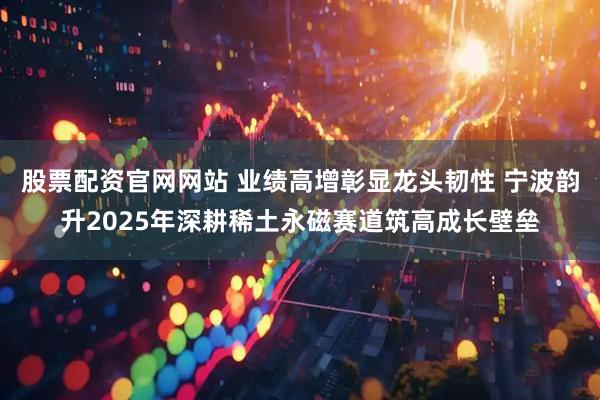 股票配资官网网站 业绩高增彰显龙头韧性 宁波韵升2025年深耕稀土永磁赛道筑高成长壁垒
