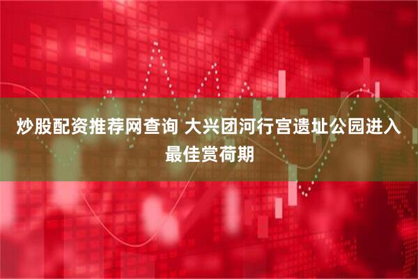 炒股配资推荐网查询 大兴团河行宫遗址公园进入最佳赏荷期